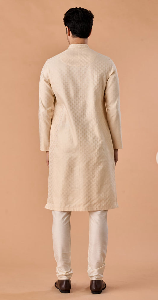 Beige Elegance Kurta Pajama