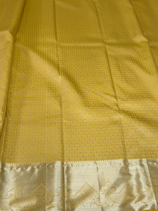 Kanjivaram Pattu Saree | Indian Traditional Saree | Bridal Saree