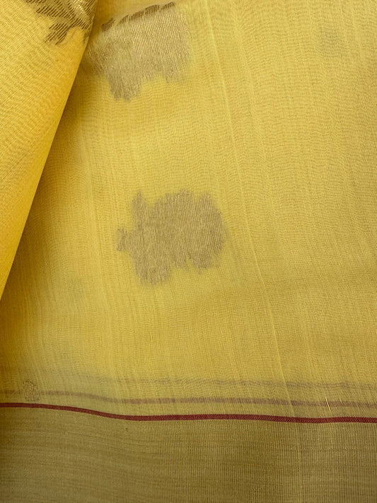 Handloom Chanderi Saree | light weight Saree