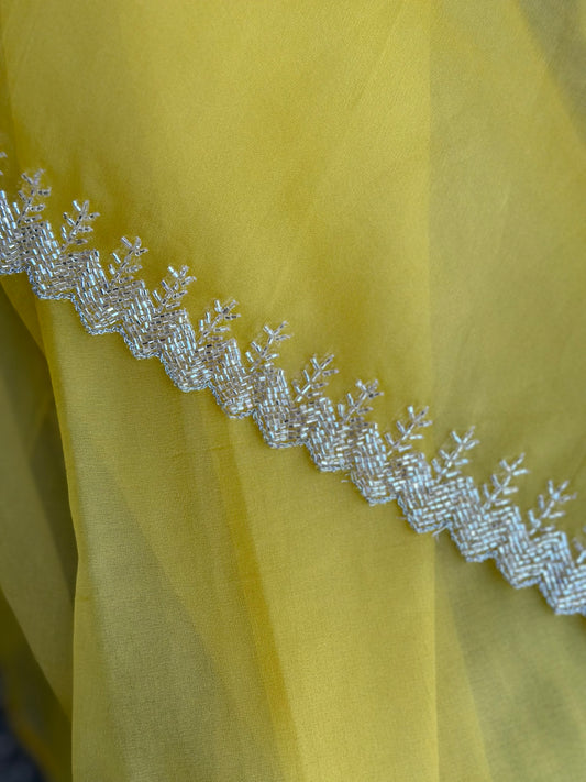 Organza embroidery saree | Sarees in USA