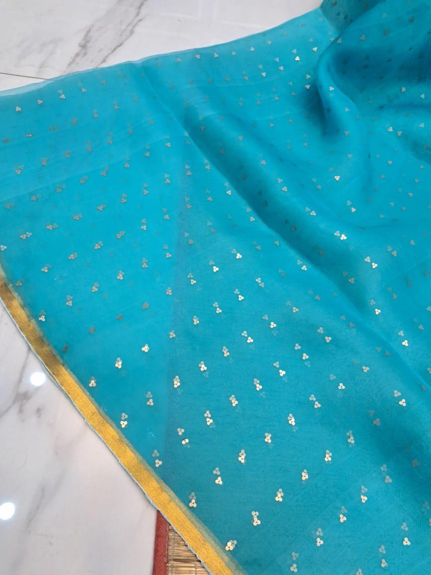 Sequins pure muslin silk saree | Light weight saree