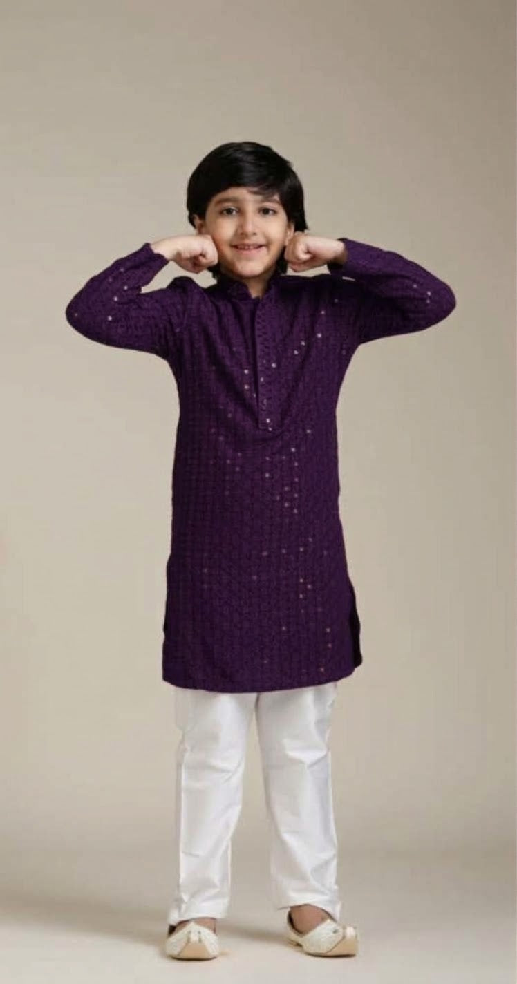 Boys Kurta Set Chikankari Kurta Set with Sequin Work