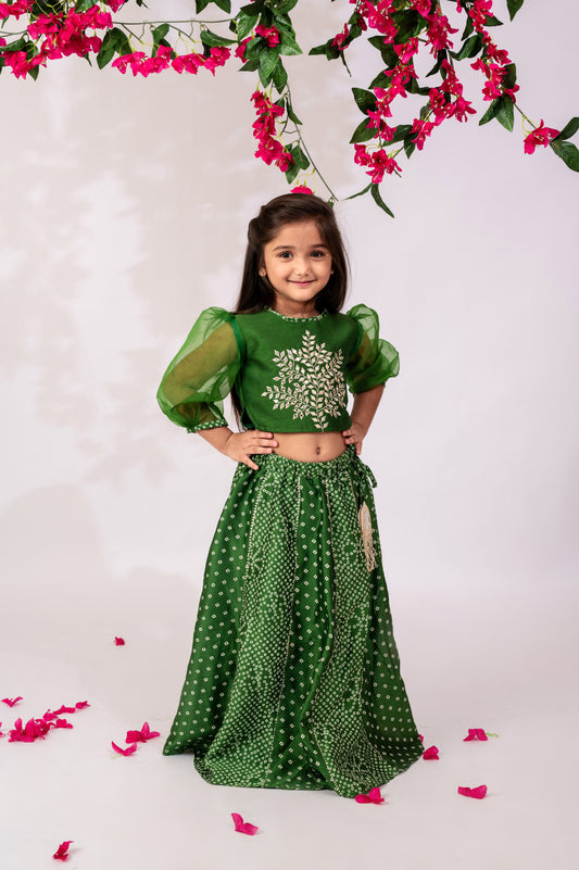 Girls Green Top & Skirt | Girls ethnic wear | Girls party wear dresses