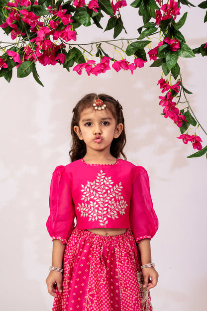 Girls Pink Top & Skirt | Girls ethnic wear | Girls party wear dresses