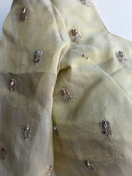 Tissue Embroidery Blouse | Party Wear Blouse | Indian Bridal Blouse