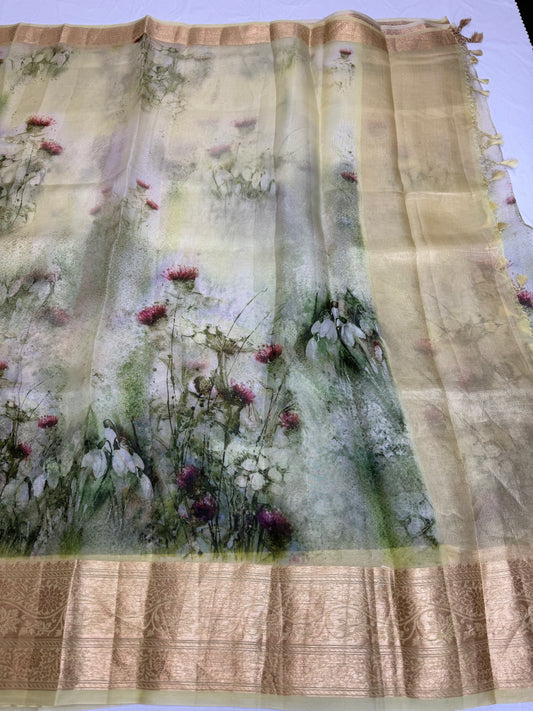 Pure Organza Saree | Traditional Saree| Partywear Saree