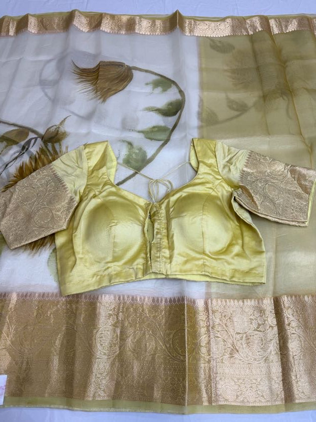 Digital Print Pure Organza Saree | Indian Sarees In USA