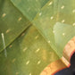 Banaras Zari weaving Dupatta | Partywear Dupatta
