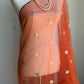 Shimmer Tissue Silk Dupatta | Party Wear Dupatta