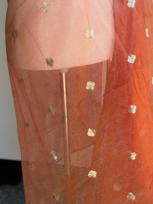 Shimmer Tissue Silk Dupatta | Party Wear Dupatta