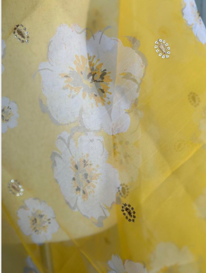 Organza Cutwork Border Dupatta | Partywear Dupatta