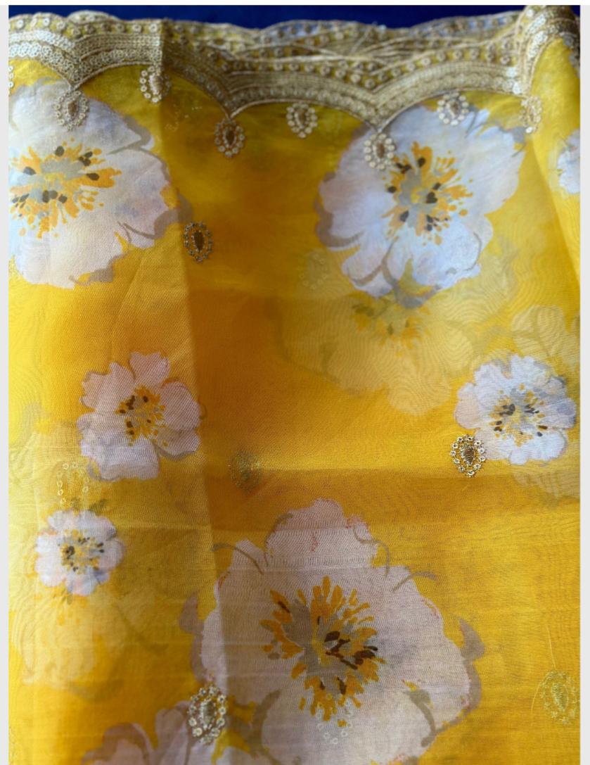 Organza Cutwork Border Dupatta | Partywear Dupatta