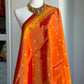 Handloom Gadwal Tissue Dupatta | Party Wear Dupatta