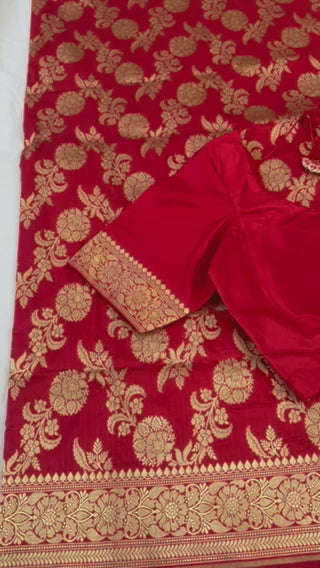 Pure Banaras Jaal Saree | Traditional Indian Sarres In USA | Silk Mark Certified Saree